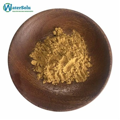 Salvia Miltiorrhiza þykkni